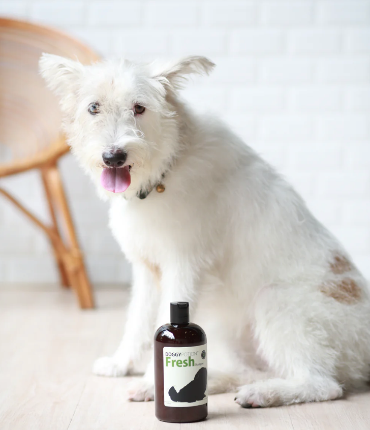 DOGGY POTION FRESH 寵物燕麥沐浴露 500ml