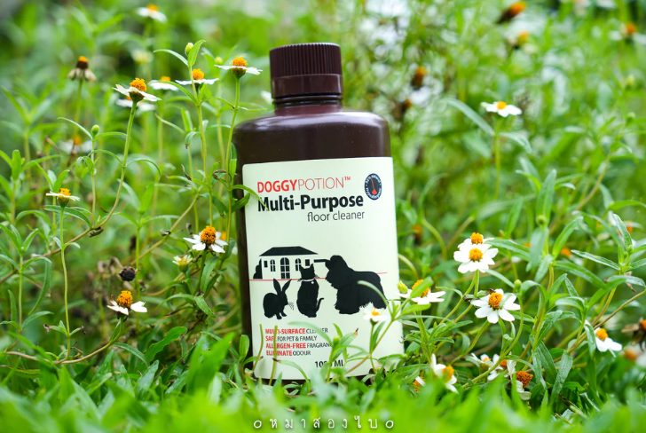 DOGGY POTION 多功能地板清潔劑 1000ml