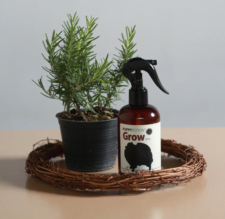 DOGGY POTION GROW 毛髮滋養精華噴霧 (人蔘及靈芝配方) 250ml