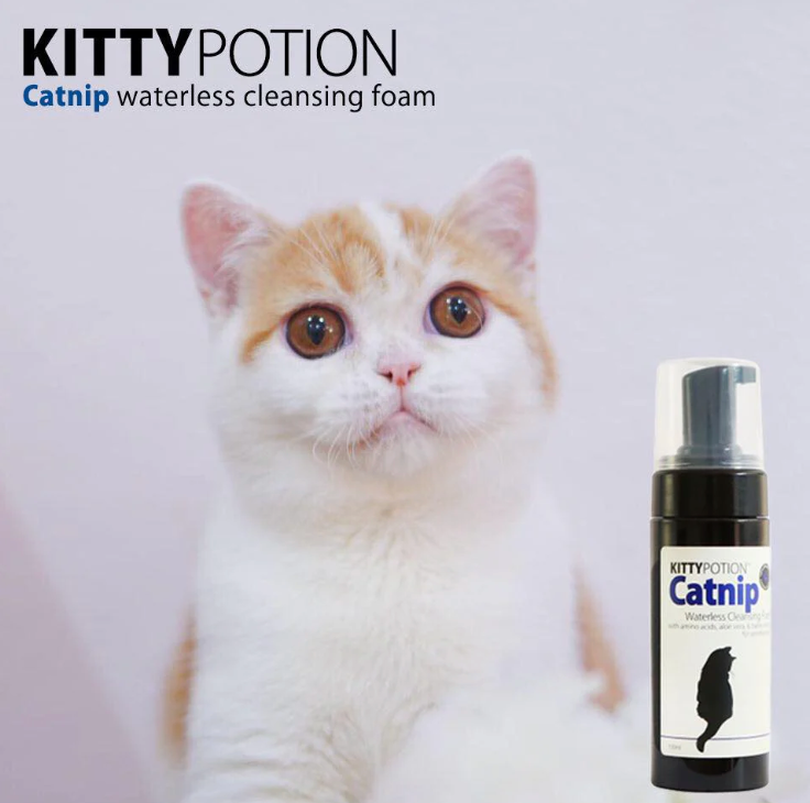 DOGGY POTION CATNIP 貓貓免沖洗潔毛泡沫 (貓薄荷配方) 150ml