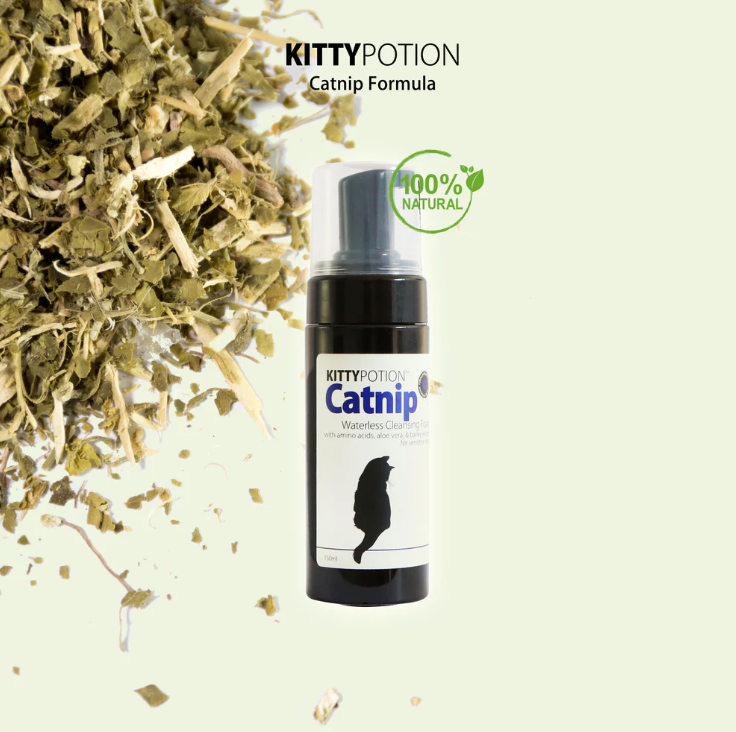 DOGGY POTION CATNIP 貓貓免沖洗潔毛泡沫 (貓薄荷配方) 150ml