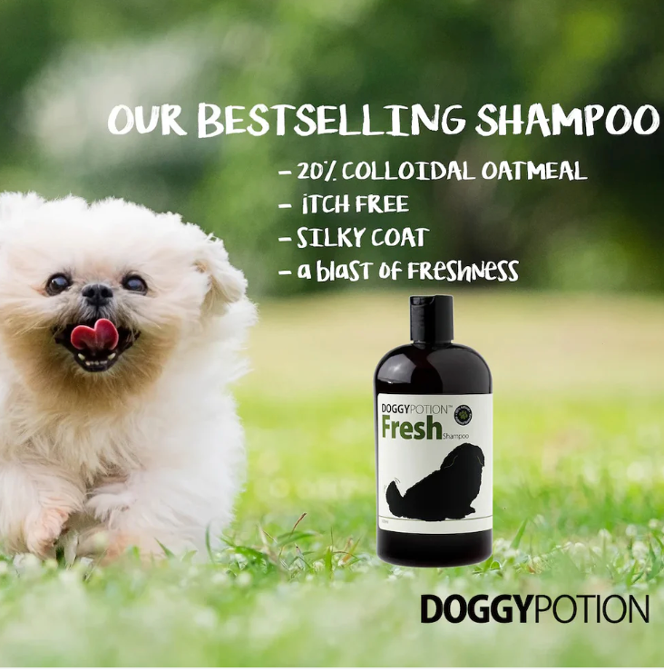 DOGGY POTION FRESH 寵物燕麥沐浴露 500ml