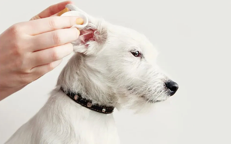 DOGGY POTION 寵物天然洗耳滴劑 (蘆薈配方) 120ml