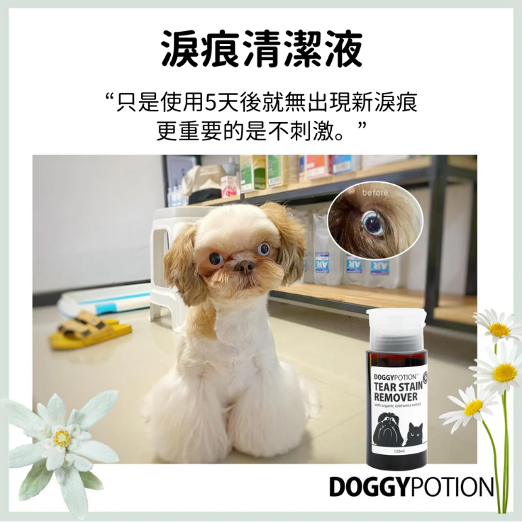 DOGGY POTION 寵物淚痕清潔液 (有機雪絨花配方) 120ml