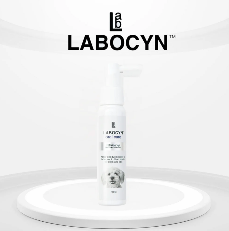 LABOCYN 除牙石潔齒噴劑