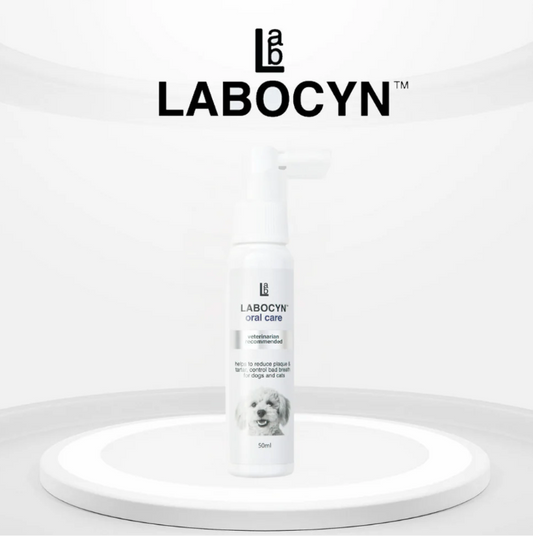 LABOCYN 除牙石潔齒噴劑