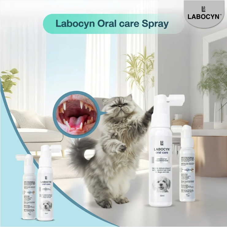LABOCYN 除牙石潔齒噴劑