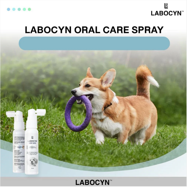 LABOCYN 除牙石潔齒噴劑