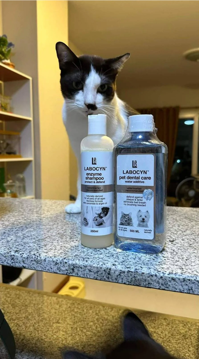 LABOCYN 清新口氣天然潔齒水
